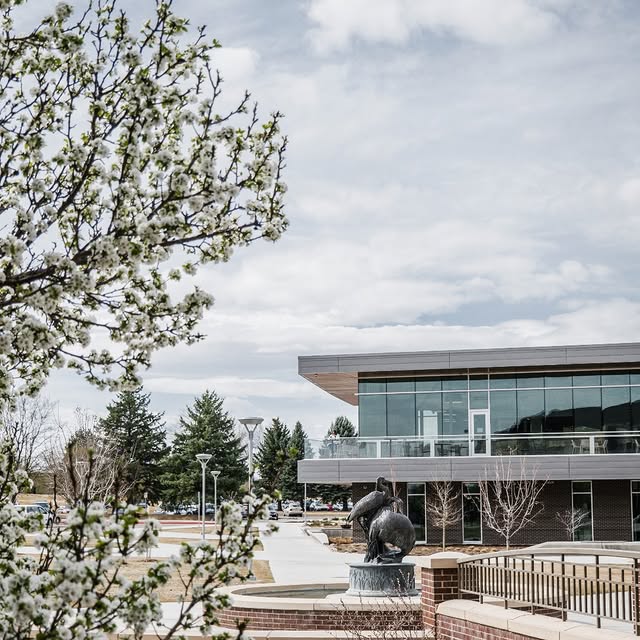 Early spring blooms on our Greeley Campus 🌸🌳