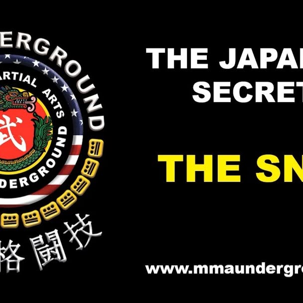 13

Sensei Says:

THE JAPANESE SECRETS

Never esteem anything as an advantage to you th…