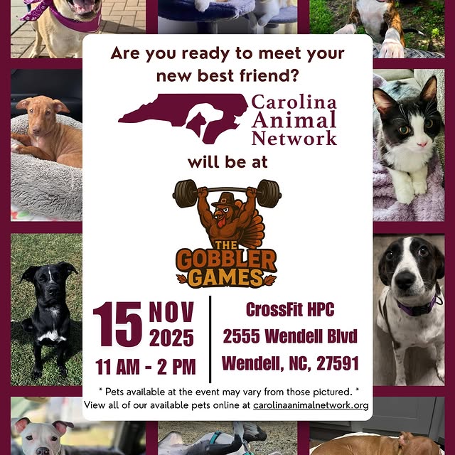 Get ready for the CUTEST part of Gobbler Games! 🐶🐱
Carolina Animal Network will be on…