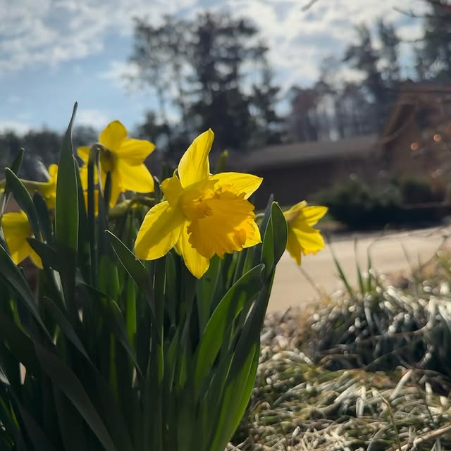 Welcome back, Spring! 🌼🌷

Just a peek of today’s campus: fresh air & sunshine