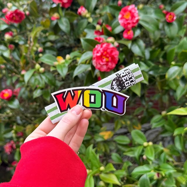 Will you be the one to find the end of the rainbow? 🌈 

Happy St. Patrick’s Day Wolves…