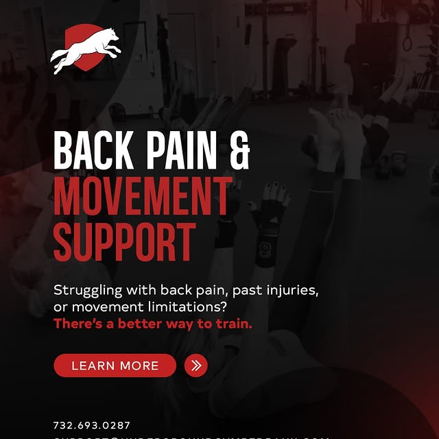 Back pain doesn’t mean you have to stop training; it just means you need the right appr…
