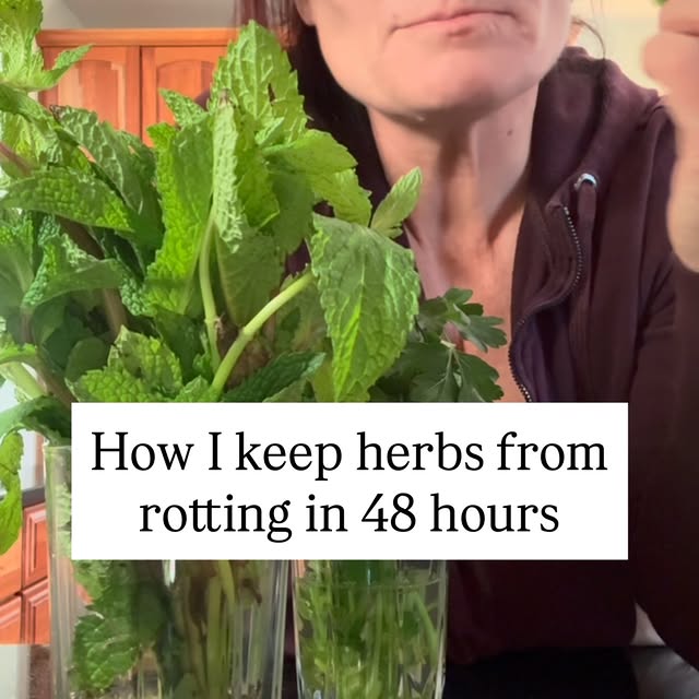 This takes 30 seconds… and my herbs last so much longer.

Jar + water + cover. Easy pea…