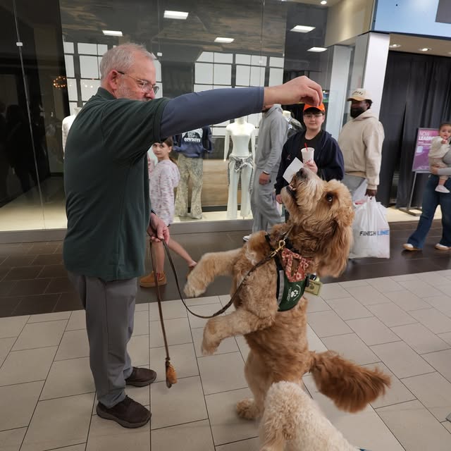 Thank you for joining us at this year’s Community Wellness Festival at Apple Blossom Ma…