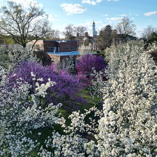 Happy First Day of Spring, Profs!🪻🌼🌸