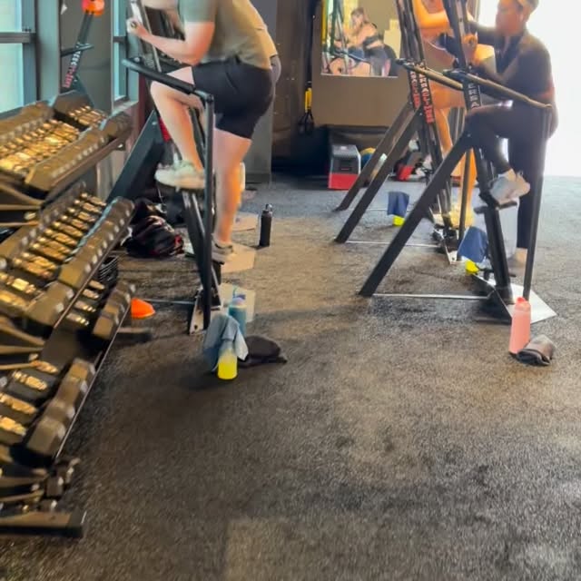 I rox, you rox, we all rox for Shedrox