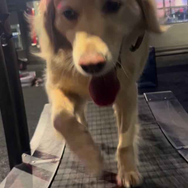 When the doctor says you need to lose some weight, there’s only one coach we trust for …