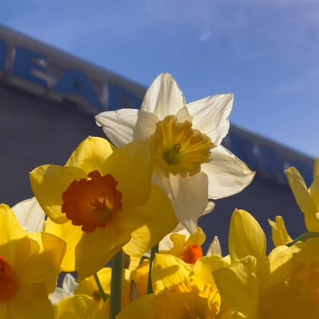 🌸 S P R I N G 
H A S 
S P R U N G 🌸

.
.
#swim #spring #springworkout #fitness #gym