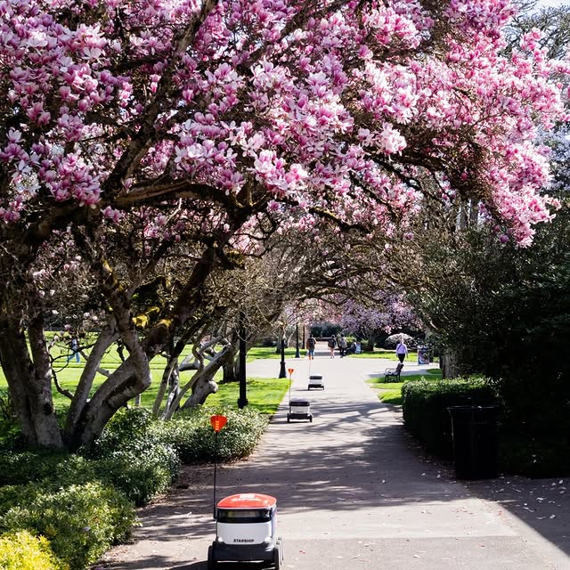 As the term winds down here are five physical activity reminders:
1. Some physical acti…