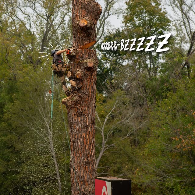 🌲 When they say “functional fitness,” this is what we mean! Shoutout to our incredible…