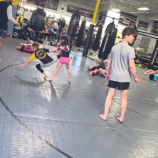 The foundation of any great martial arts academy is a strong youth program!

Ages 3+