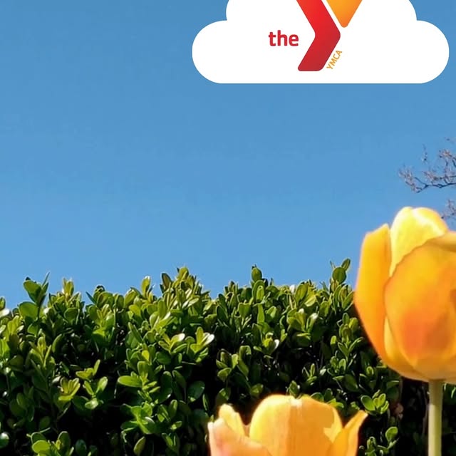 New & Returning Programs Are Blooming This Season! 🌸

Explore our Spring 2 Program Gui…