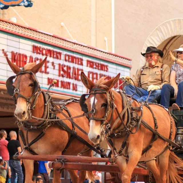 Every town has a beginning, and Abilene’s started today in 1881 when the Texas & Pacifi…