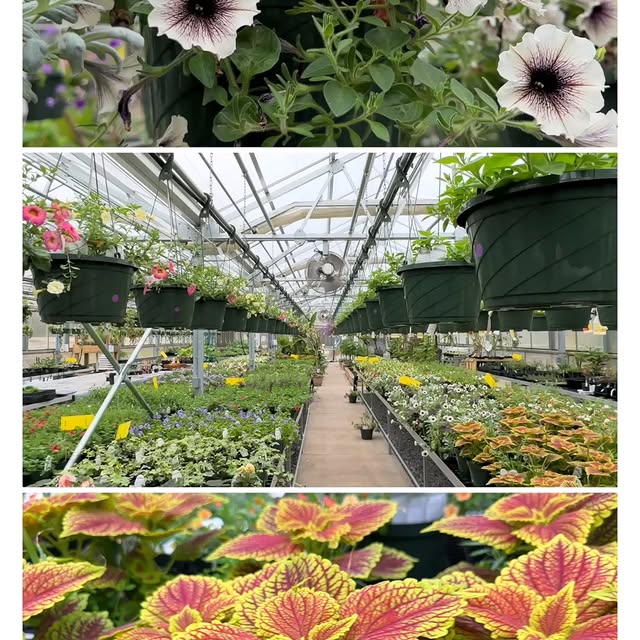 Spring is blooming at TTC! 🌸
Join the Horticulture program and Terra Bella Student Soc…