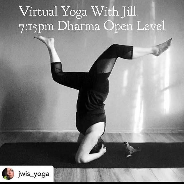 Keep up with your practice! Join Jill on Thursday evenings for Dharma Yoga at 7:15pm vi…