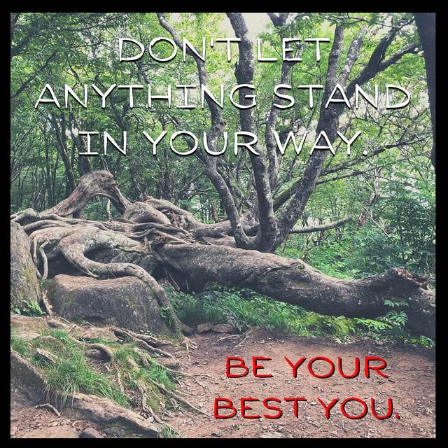 Remember: you are your biggest competition. 

New article up. Link in bio! 

#strengtha…