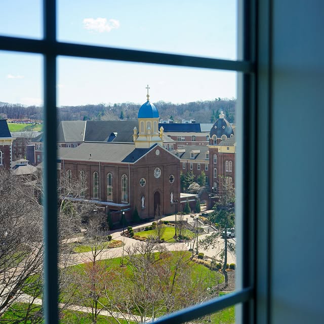 The view from @roeschlibrary 😍