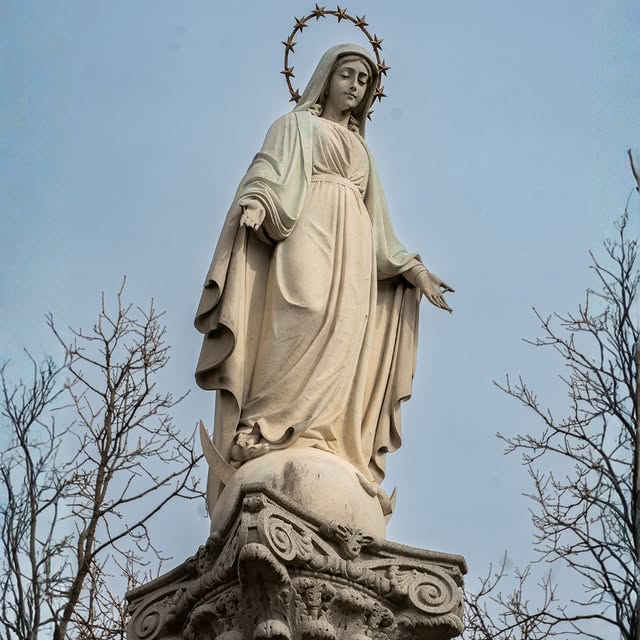 “Behold, I am the handmaid of the Lord. May it be done to me according to your word.” -…