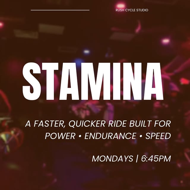 STAMINA || MONDAYS

Link in bio, first class is free!