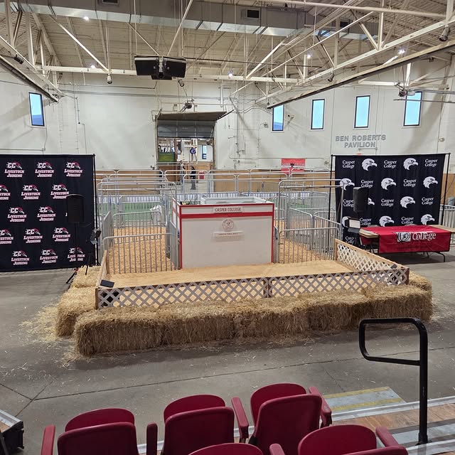 ❗️The sale ring is READY❗️

This is what we call "the calm before the storm." 🌪 Everyt…