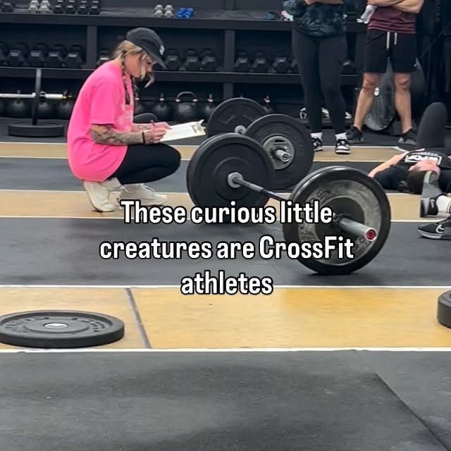 We are curious little creatures though 😆