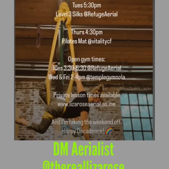 #aerialworkout #WholeBodyWellness #privategym