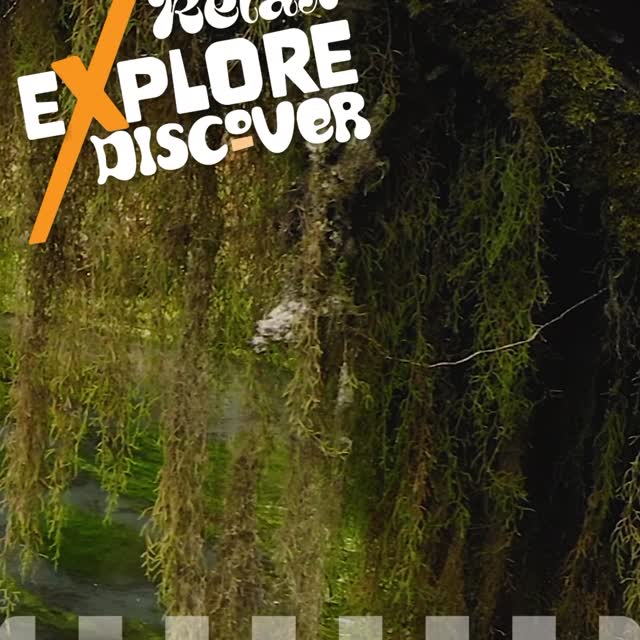 The Hoh Rain Forest is waiting for you and it’s just a couple hours from Pac Beach. Sta…