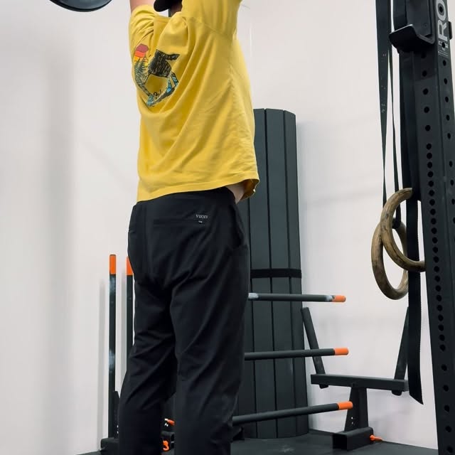 Any shoulder to overhead movement isn’t just a shoulder or arm workout.  It largely dep…