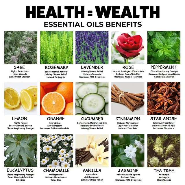 Introduce more #HealthyHabits in your daily routin 🥗 Discover the amazing #HealthBenef…