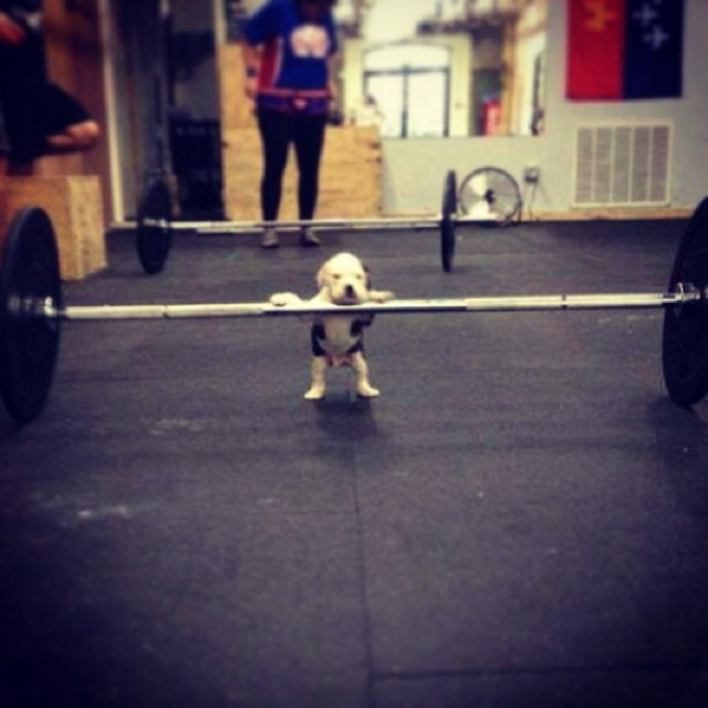 Gotta start somewhere! #fit #fitness #fitfam #fitspo #fitspiration #healthy #health #ex…