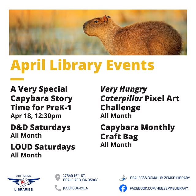 📚 April is Buzzing at Hub Zemke Library! Looking for a place to create, play, or just …