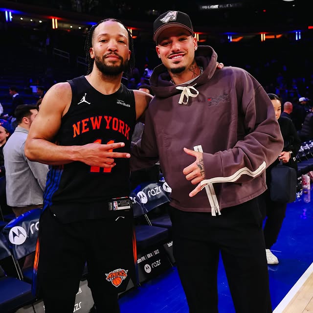 the villa meets the garden