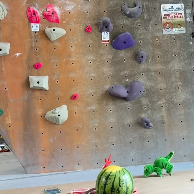 ‼️ Please remember to empty your pockets before climbing ‼️

Melons WERE harmed in the …
