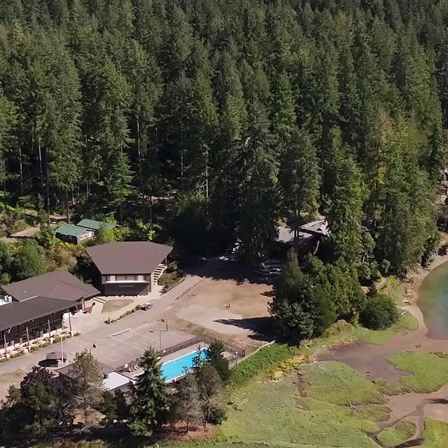 One week at Camp Seymour in the 1950s changed Irene’s life. She raised money by selling…