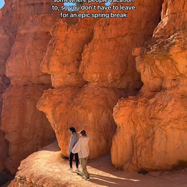 That's why our home is known as the World’s Best Backyard 🤩
#TBirdNation #UniversityOf…