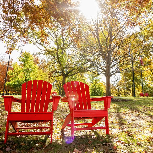 You've sat in them. You've walked past them. You've made memories in them. You might ha…