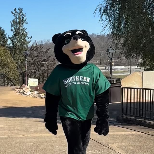 Come along and see what a day in Forrest’s life looks like!