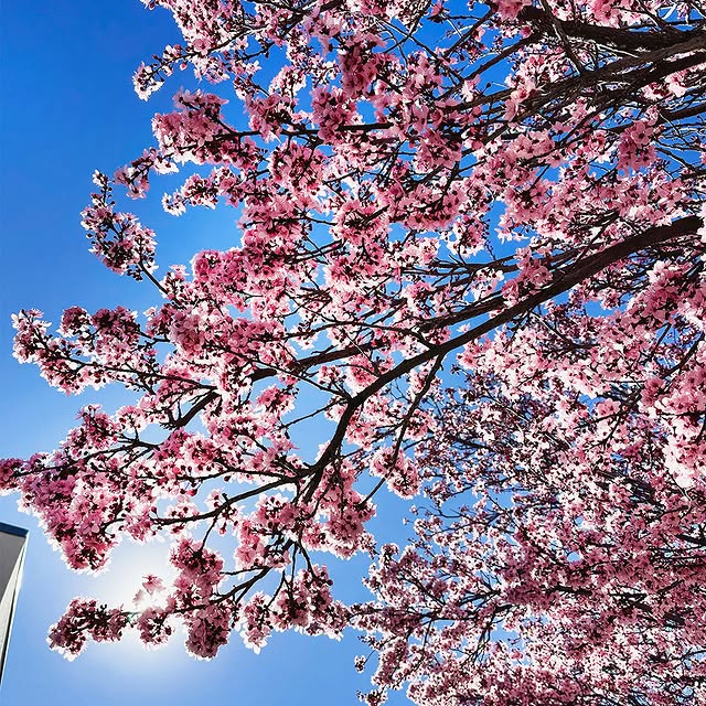 The first day of spring is here and campus is hitting its stride.⁠
⁠
With the semester …
