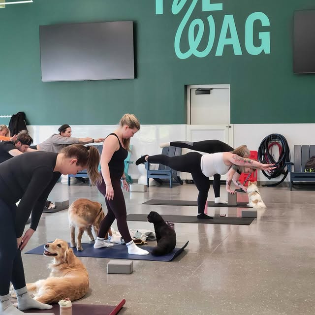 The theme of today is Connection. Connection with your mind and body. Connection with o…