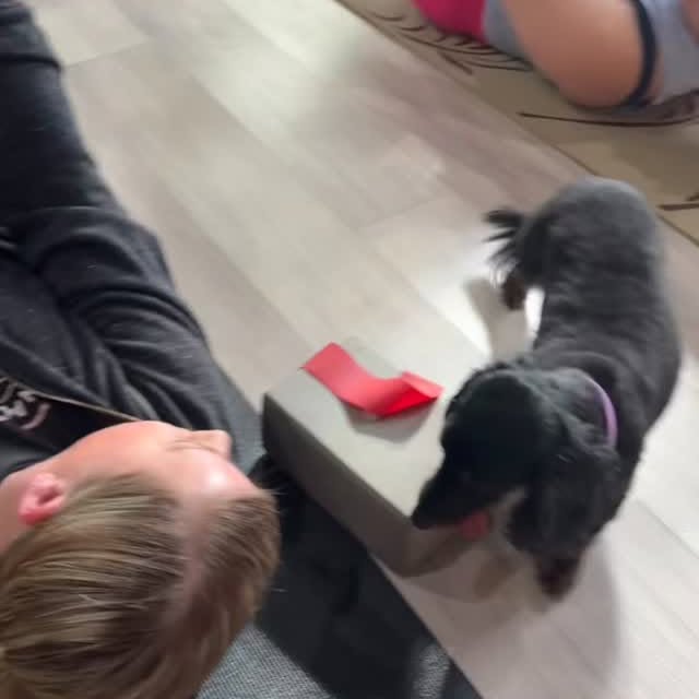 Charlie and Chandler were excited to reclaim their classes back in the studio this week…