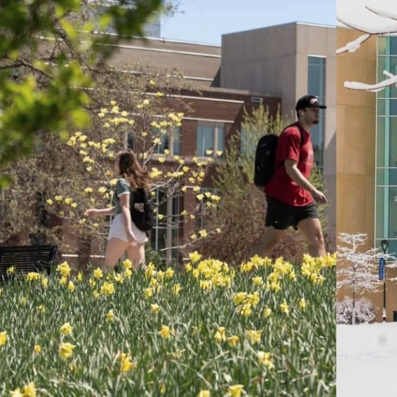 Warmer days ahead 🌞 Happy first day of spring!