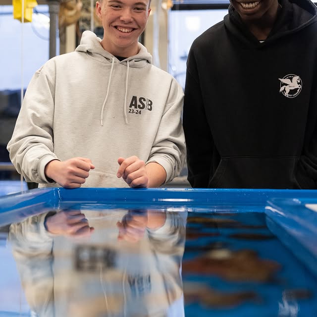 Creating shark sanctuaries – one spreadsheet at a time!