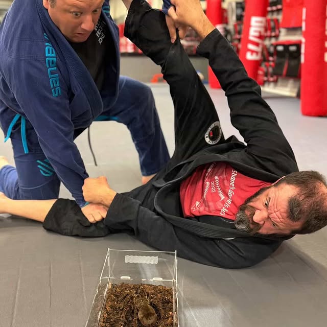 I hats scarier than rolling with a #bjj #blackbelt ? Maybe when there’s a HUGE tarantul…