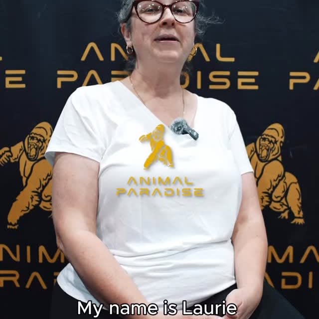 You see the person.
But you don’t see the story that built them.

That’s why we created…