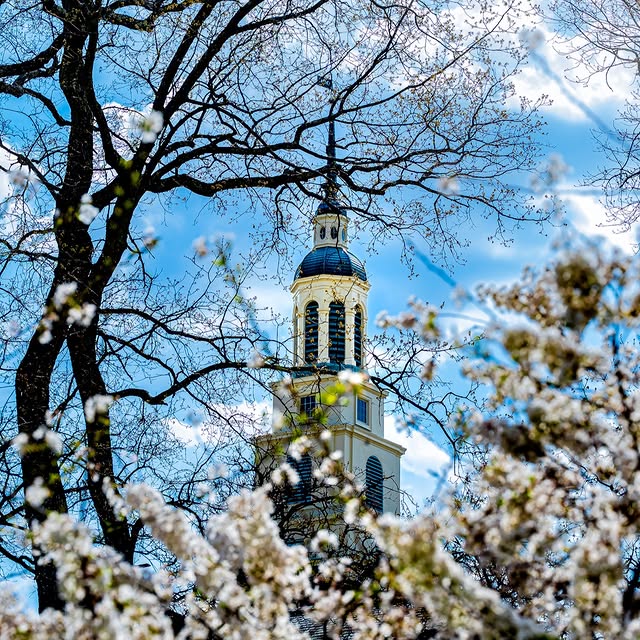 The wait was worth it. Happy first day of spring, Bereans! 🌷

📷 : Sonam Tsering '27