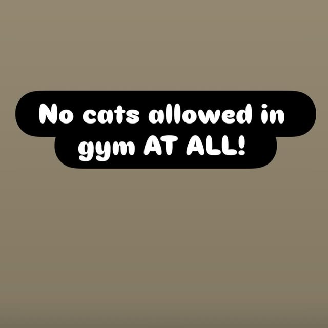Moving forward absolutely no cats are allowed inside the gym. This includes Jymothy. Sh…