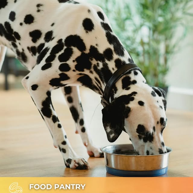 SEAACA, in collaboration with Michelson Found Animals, will be hosting a Pet Food Pantr…