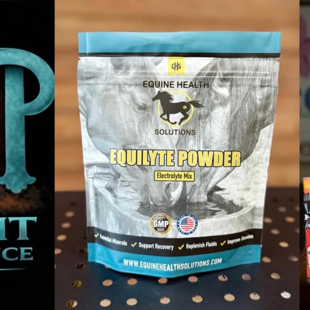 💙 Fun Fact: The Electro-Equiscope can support performance before and after competition…