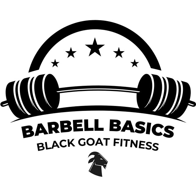 Barbell Basics: The Snatch⁠
Speed. Precision. Power.⁠
⁠
Our next Barbell Basics session…
