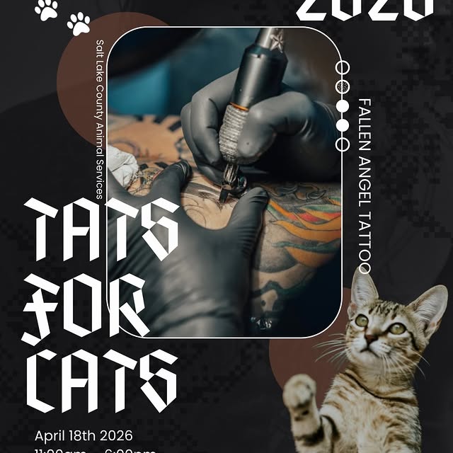 Tats for Cats is back 🐱✨
New flash just dropped and we are obsessed!! 🤩 

Come get ta…